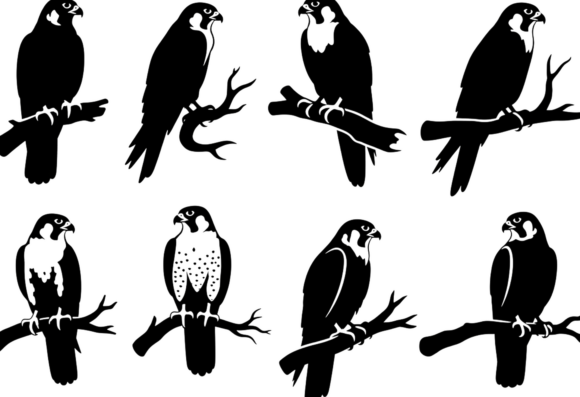 Falcon Silhouette SVG Bundle