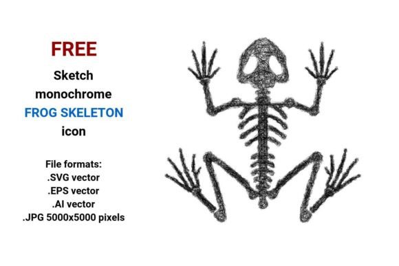 FREE Sketch Frog Skeleton Icon: A Versatile Resource for Designers and Creators