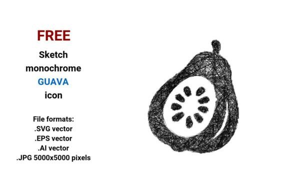 FREE Sketch Guava Icon: A Versatile Design Asset for Creative Projects