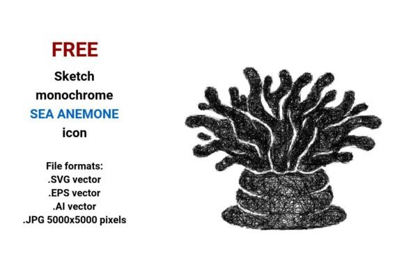 Free Sketch Sea Anemone Icon