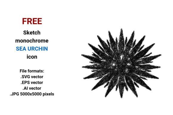 FREE Sketch Sea Urchin Icon: A Versatile Design Asset for Modern Creators